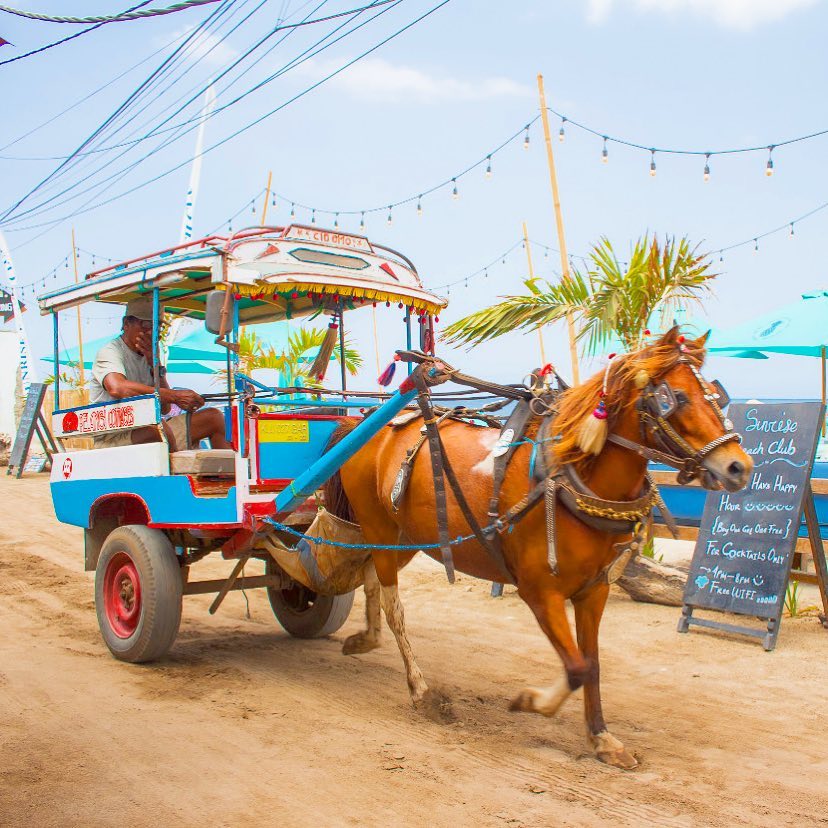 Cidomo, Andong Khas dari Pulau Lombok