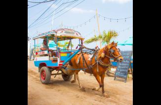 Cidomo, Andong Khas dari Pulau Lombok