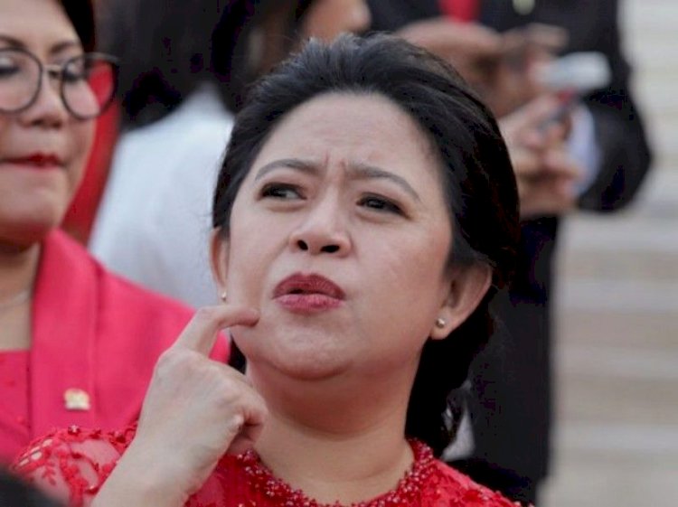 Babak Baru Peradilan Indonesia, Ketua DPR RI Puan Maharani di-PTUN MAKI dan LP3HI