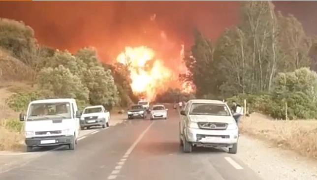 Selamatkan Warga dari Kebakaran Hutan, 25 Tentara Aljazair Meregang Nyawa