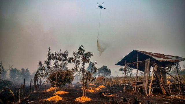 Karhutla Seret 20 Korporasi ke Meja Hijau