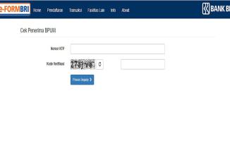 Ayo Cairkan BLT UMKM Anda Tanpa Antri, Klik Link eform.bri.co.id/bpum
