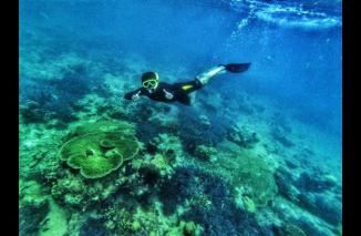 Barrang Lompo, Pulau Cantik nan Menawan Hati