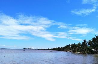 Teluk Bogam nan Menawan & Eksotis