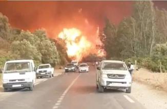 Selamatkan Warga dari Kebakaran Hutan, 25 Tentara Aljazair Meregang Nyawa