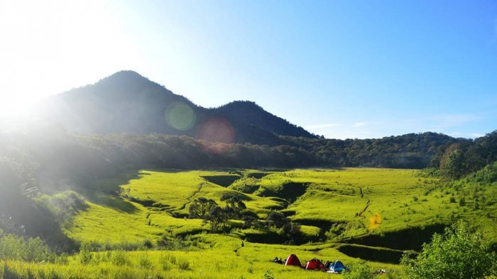 Padang Savana Gunung Lawu nan Memesona