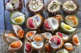 10 Buah Khas Kalimantan Ini Jarang Diketahui Masyarakat Luar