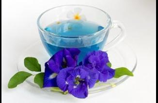 Teh Bunga Telang, Minuman Sehat nan Kaya Antioksidan