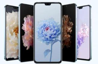 Muncul di Tenaa, Ini Spesifikasi Vivo S10e