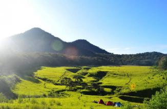 Padang Savana Gunung Lawu nan Memesona