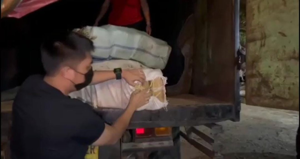 Peredaran 279 Kg Ganja Lintas Sumatra-Jawa Digagalkan Polisi