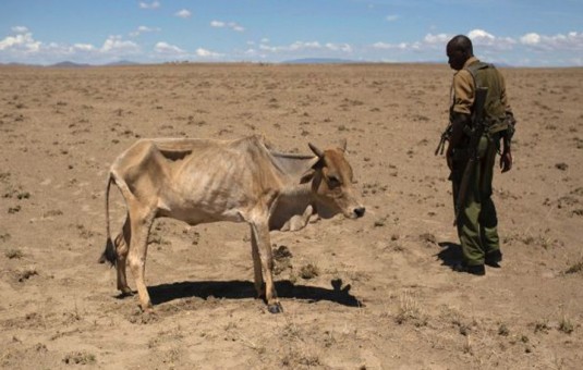 Kekeringan Ancam Warga Kenya