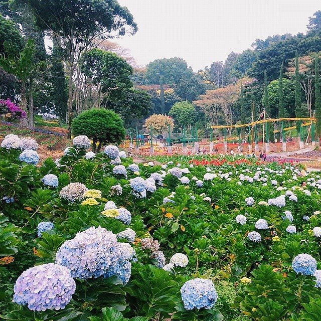 Selecta, Taman Cantik di Kota Batu