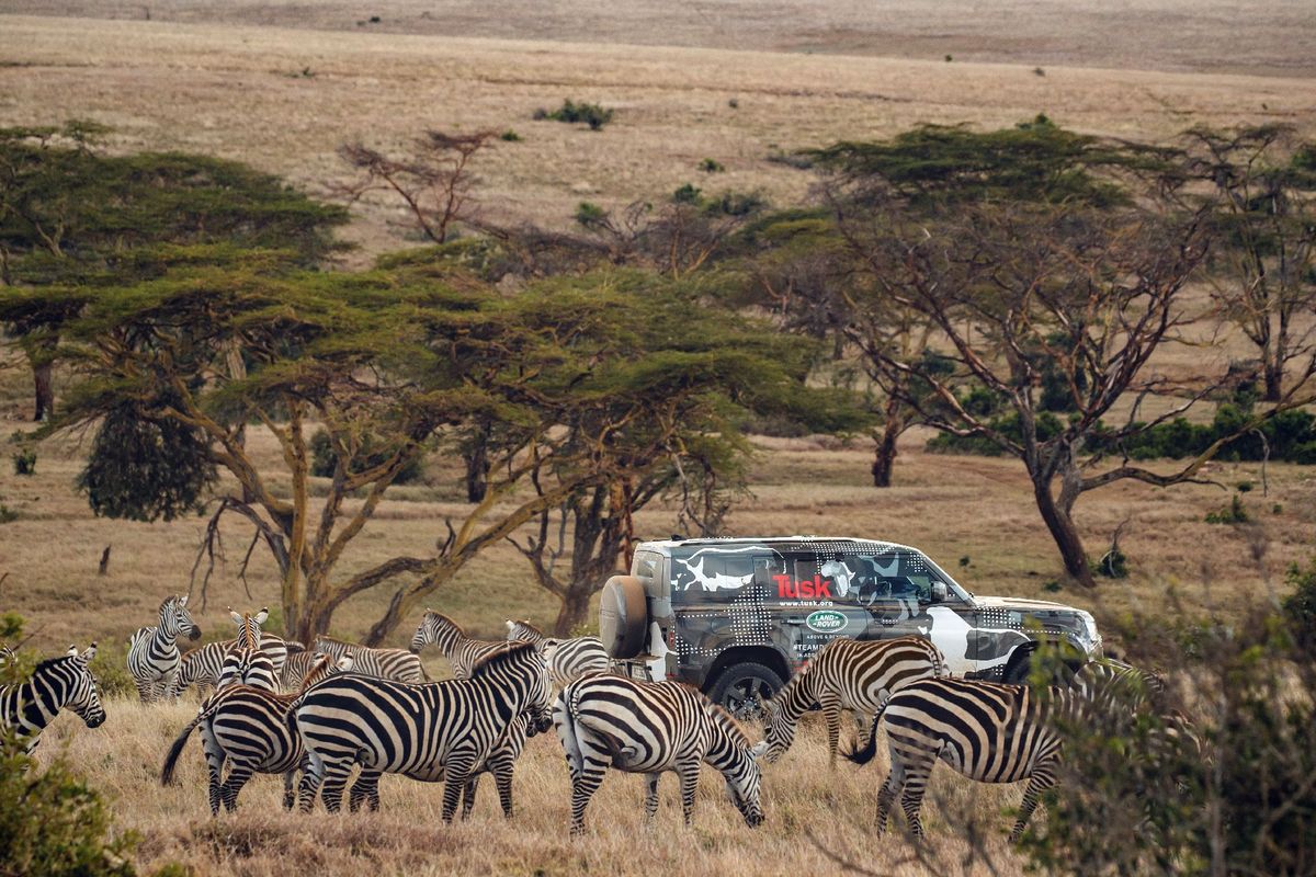 Woh, Kerennya Mobil Pabrikan Afrika