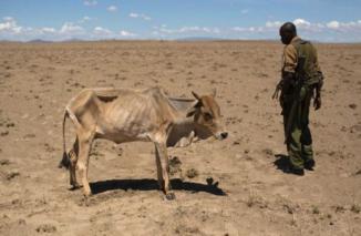 Kekeringan Ancam Warga Kenya