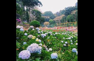 Selecta, Taman Cantik di Kota Batu