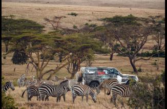 Woh, Kerennya Mobil Pabrikan Afrika