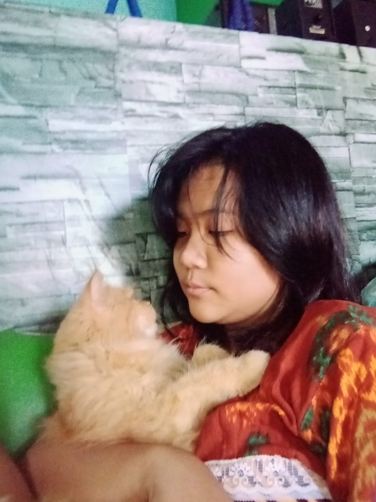 Kucing Anda Selalu Kabur dari Rumah? Ini Cara Mencegahnya