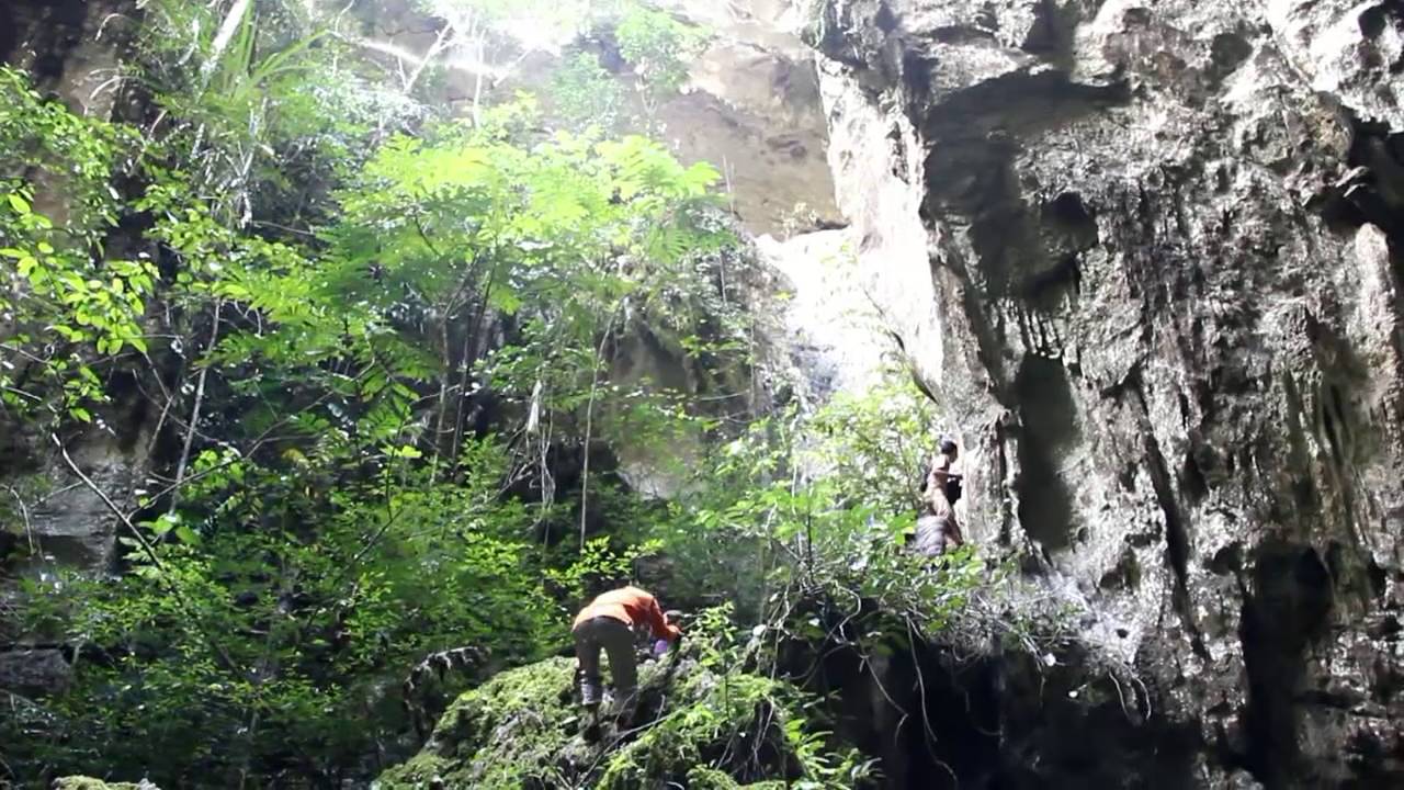 Stalaktit &amp; Stalaknit Alami di Goa Napalicin