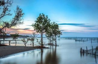 Profil Provinsi Kalimantan Utara