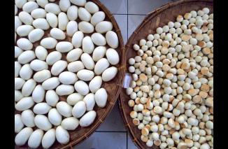 Nopia, Camilan Khas Banyumas yang Unik dan Enak