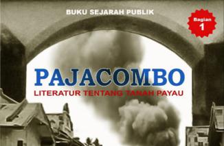 Feni Efendi, Pencatat Memori Kolektif