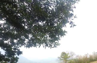 Expedisi Trabas Langit Punggung Naga, Seru Euy