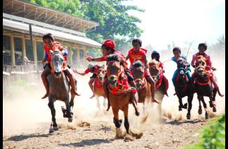 Deretan Kuda Pacu Bertenaga Super di Indonesia