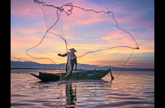 Deretan Negara Penghasil Ikan Terbesar di Dunia