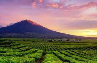 Deretan Gunung Berapi Tertinggi di Indonesia