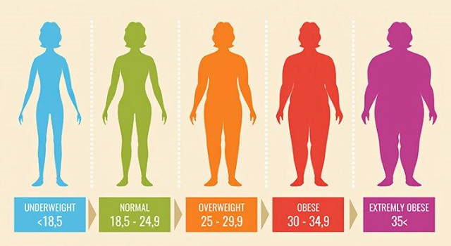 Berat Badan Ideal? Begini Cara Menghitungnya