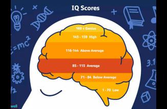 Deretan Manusia dengan IQ Tertinggi di Dunia
