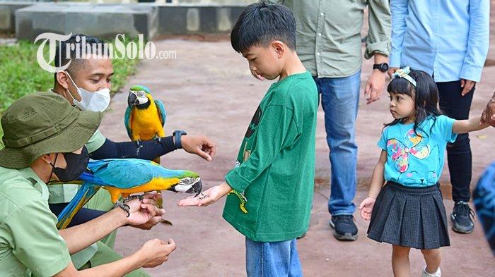 7 Rekomendasi Tempat Wisata Seru di Sekitar Solo Raya,Cocok untuk Berlibur Bersama Keluarga