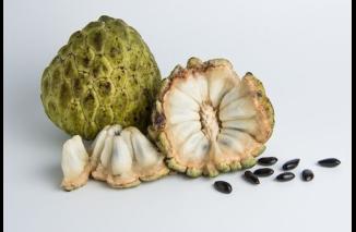 Apakah Buah Srikaya Mengandung Gula? Ini Ulasannya...