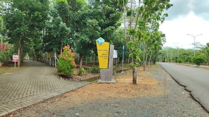 Intip Daya Tarik Taman Hutan Hujan Tropis Indonesia di Banjarbaru, Kalsel, Cocok untuk Ngabuburit