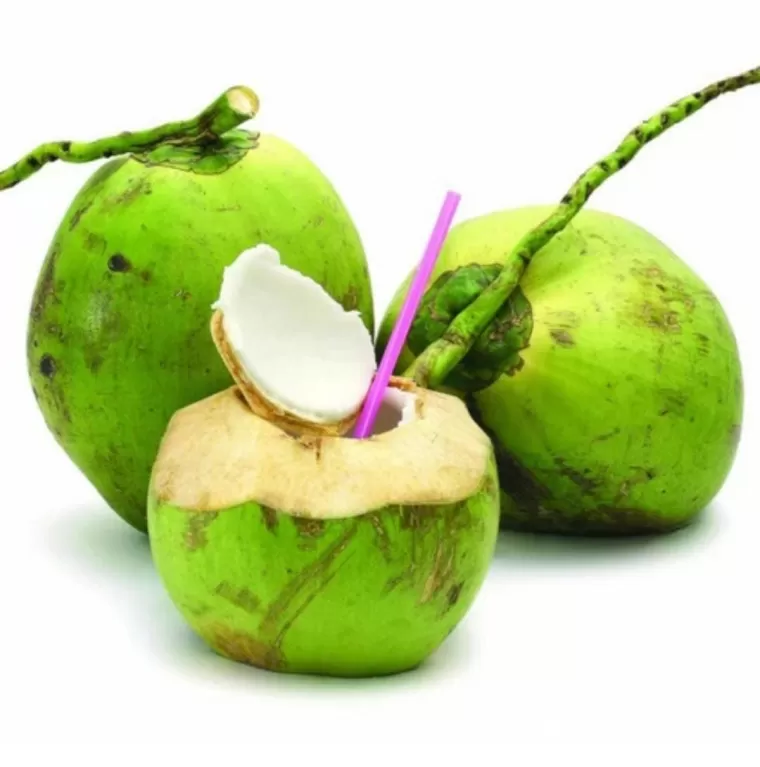 Manfaat air kelapa.