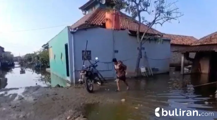 Salah satu warga melintas sisa banjir di Desa Sayung, Kecamatan Sayung, Kabupaten Demak, Jawa Tengah.