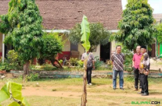 Halaman sekolah ditanami pohon pisang  sebagai bentuk ekspresi kolektif atas ketidakadilan yang tidak kunjung ditangani pemerintah.