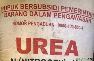 Pupuk bersubsidi pemerintah.