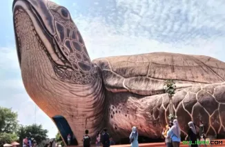 Patung kura-kura di kawasan Pantai Kartini Jepara.