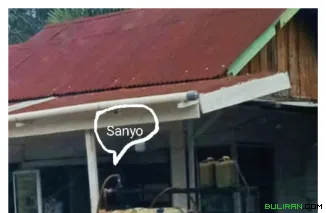 MERLUNG MEMBARA Praktik Penjualan Solar Ilegal Marak, Belum Ada Penindakan APH