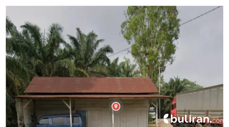 Berkedok Rumah Makan Pondok Hijau di Jadikan Pemakasan (CPO ) dan Karnel