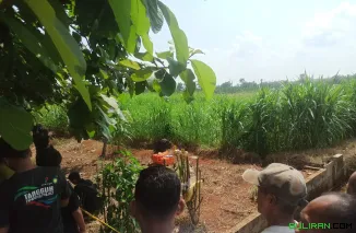 Foto, terlihat masyarakat dan anggota kepolisian sedang oleh TKP penemuan mayat di semak-semak rerumputan di dukuh Sekuping, Desa Tubanan, kecamatan Kembang, Jepara.