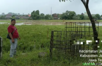 Lokasi KDMP desa Mulyoharjo, dibangun diatas LSD.