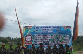 Buru Safari Hama Tanaman Digelar di Nagari Muaro, Dihadiri Kepala Dinas Pertanian Sijunjung