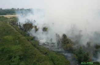 Foto Kebakaran Hutan Tahun 2026