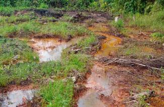 Akibat Kebocoran Pipa dari Pabrik PT HKI,Masyarakat di Sekitar Terkena Dampak