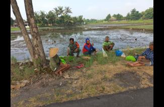 Babinsa Sawit Dengarkan Kendala Petani Lewat Komsos