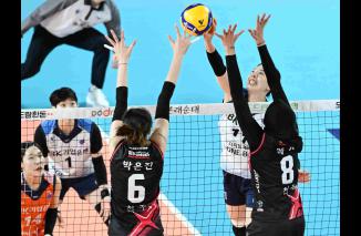 Hasil Liga Voli Korea - Megawati Dapat Kartu Hijau, Red Sparks Full Senyum Naik ke Peringkat 2