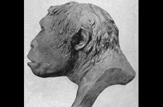Pemuda Tangguh dan Ngambek: Kisah Di balik Penemuannya Pithecanthropus erectus di Trinil